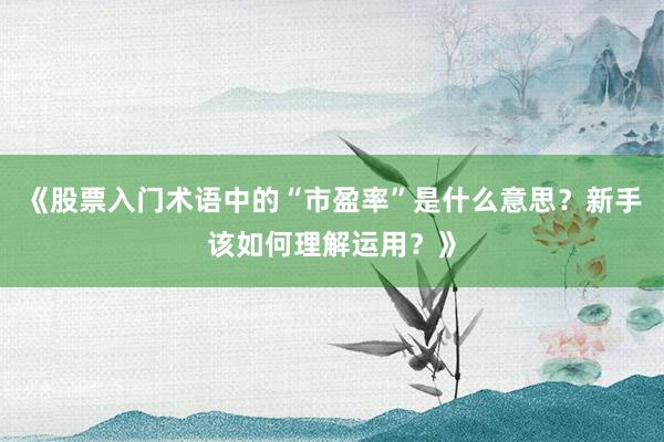 《股票入门术语中的“市盈率”是什么意思？新手该如何理解运用？》