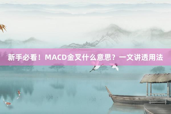 新手必看！MACD金叉什么意思？一文讲透用法
