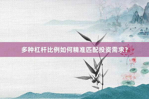 多种杠杆比例如何精准匹配投资需求？