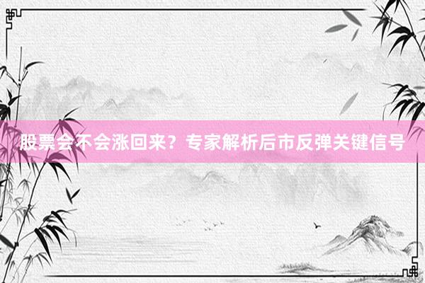 股票会不会涨回来？专家解析后市反弹关键信号