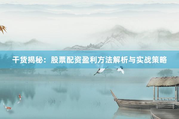 干货揭秘：股票配资盈利方法解析与实战策略