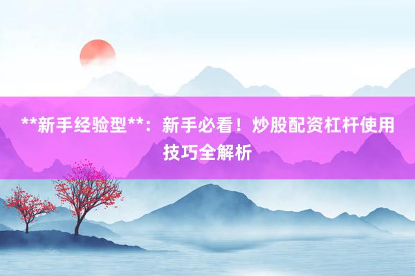 **新手经验型**：新手必看！炒股配资杠杆使用技巧全解析