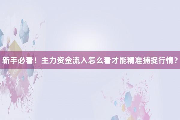 新手必看！主力资金流入怎么看才能精准捕捉行情？
