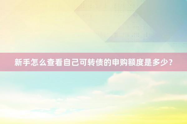 新手怎么查看自己可转债的申购额度是多少?