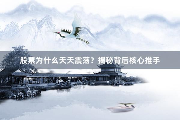 股票为什么天天震荡?揭秘背后核心推手