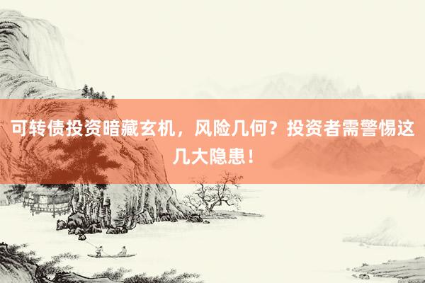 可转债投资暗藏玄机，风险几何？投资者需警惕这几大隐患！