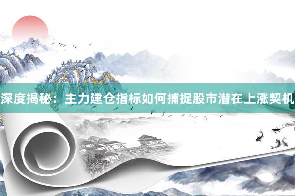深度揭秘：主力建仓指标如何捕捉股市潜在上涨契机