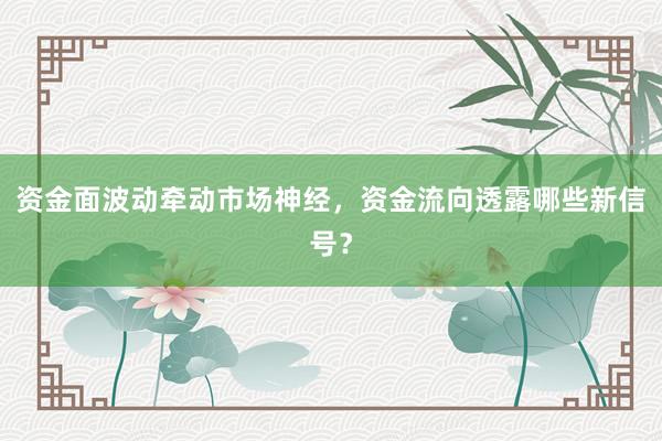 资金面波动牵动市场神经，资金流向透露哪些新信号？