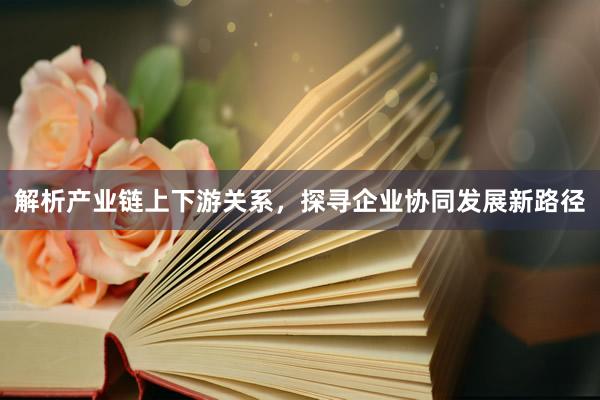 解析产业链上下游关系，探寻企业协同发展新路径