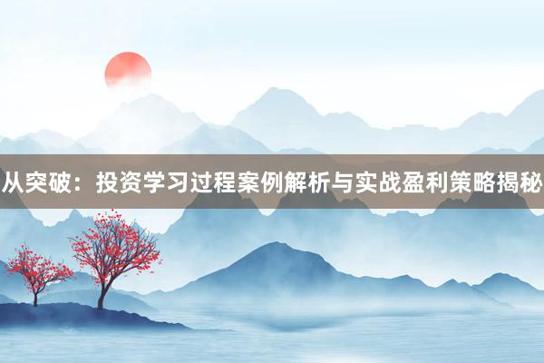 从突破：投资学习过程案例解析与实战盈利策略揭秘