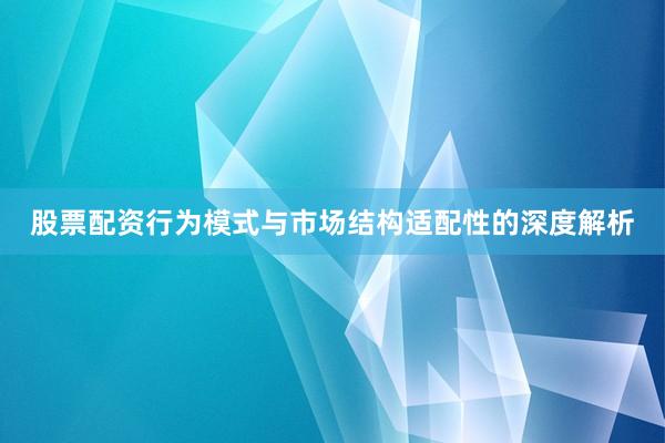 股票配资行为模式与市场结构适配性的深度解析