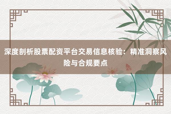 深度剖析股票配资平台交易信息核验：精准洞察风险与合规要点